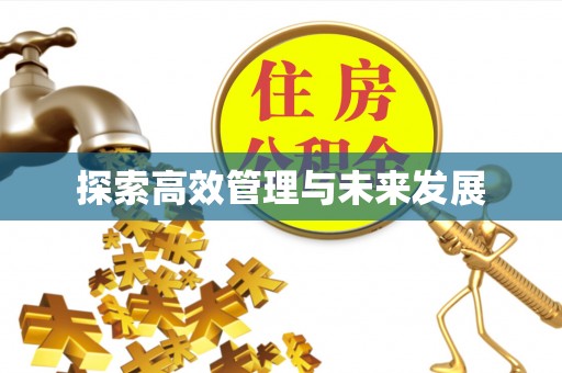 伊春探索高效管理与未来发展
