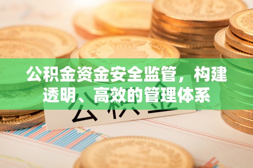 伊春公积金资金安全监管，构建透明、高效的管理体系