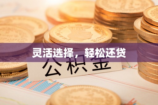 伊春灵活选择，轻松还贷