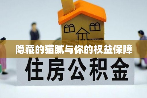 伊春隐藏的猫腻与你的权益保障