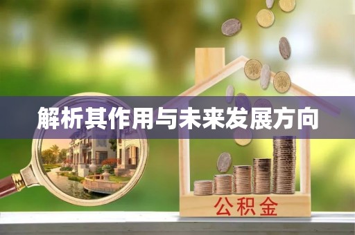 伊春解析其作用与未来发展方向